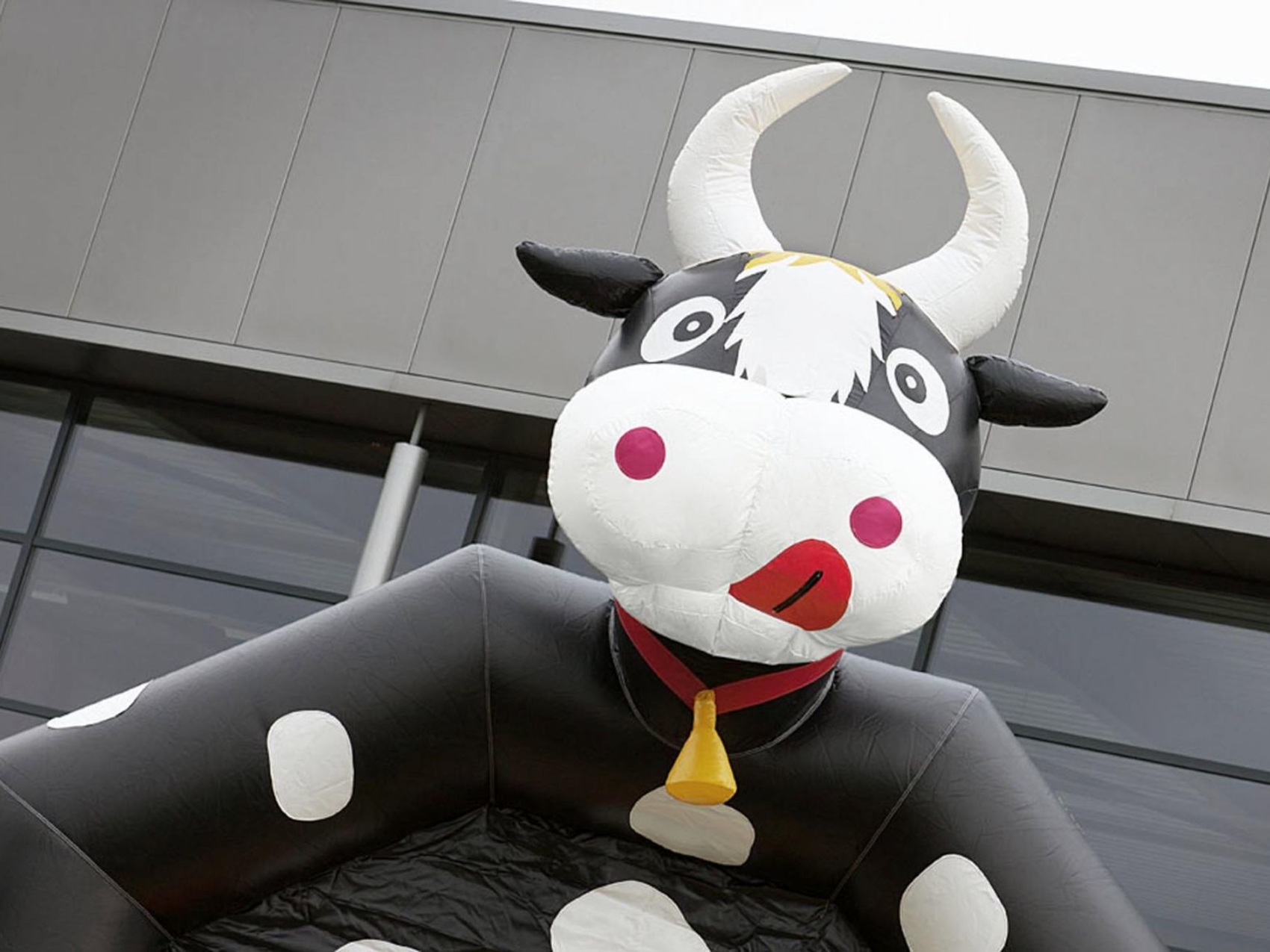 country-huepfburg-kuh-www-eyeconcept-de-009