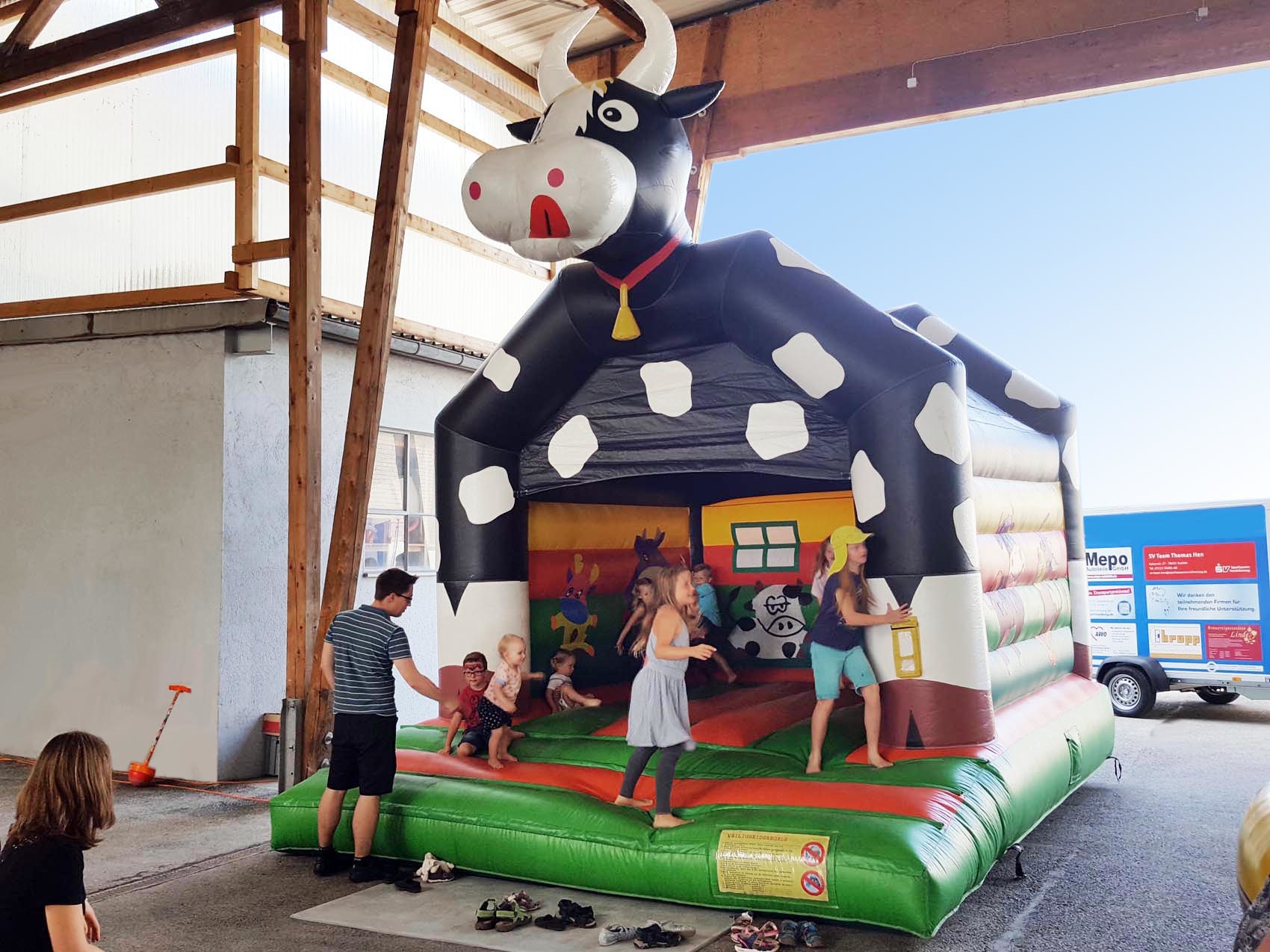 country-huepfburg-kuh_07101