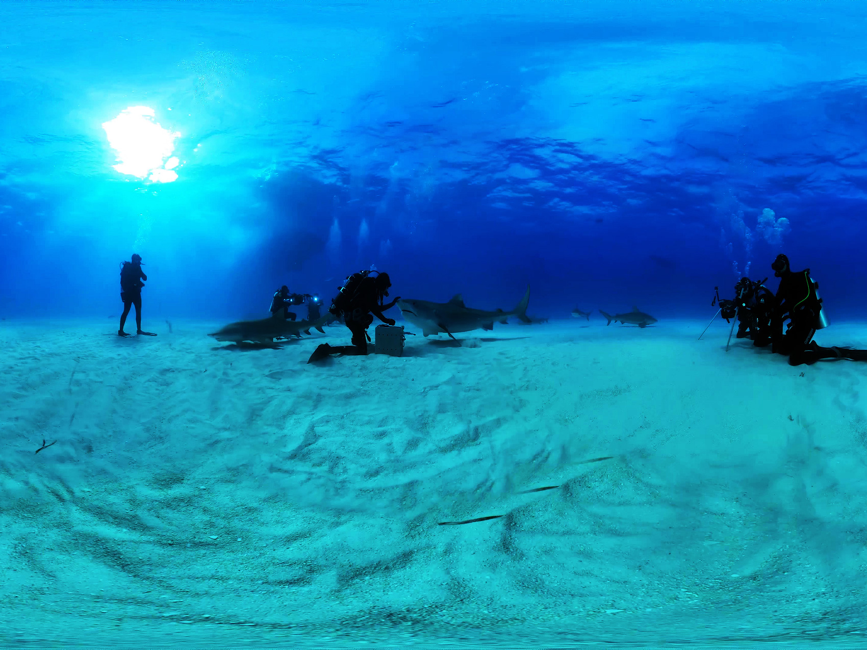 oculus-quest-diving_001