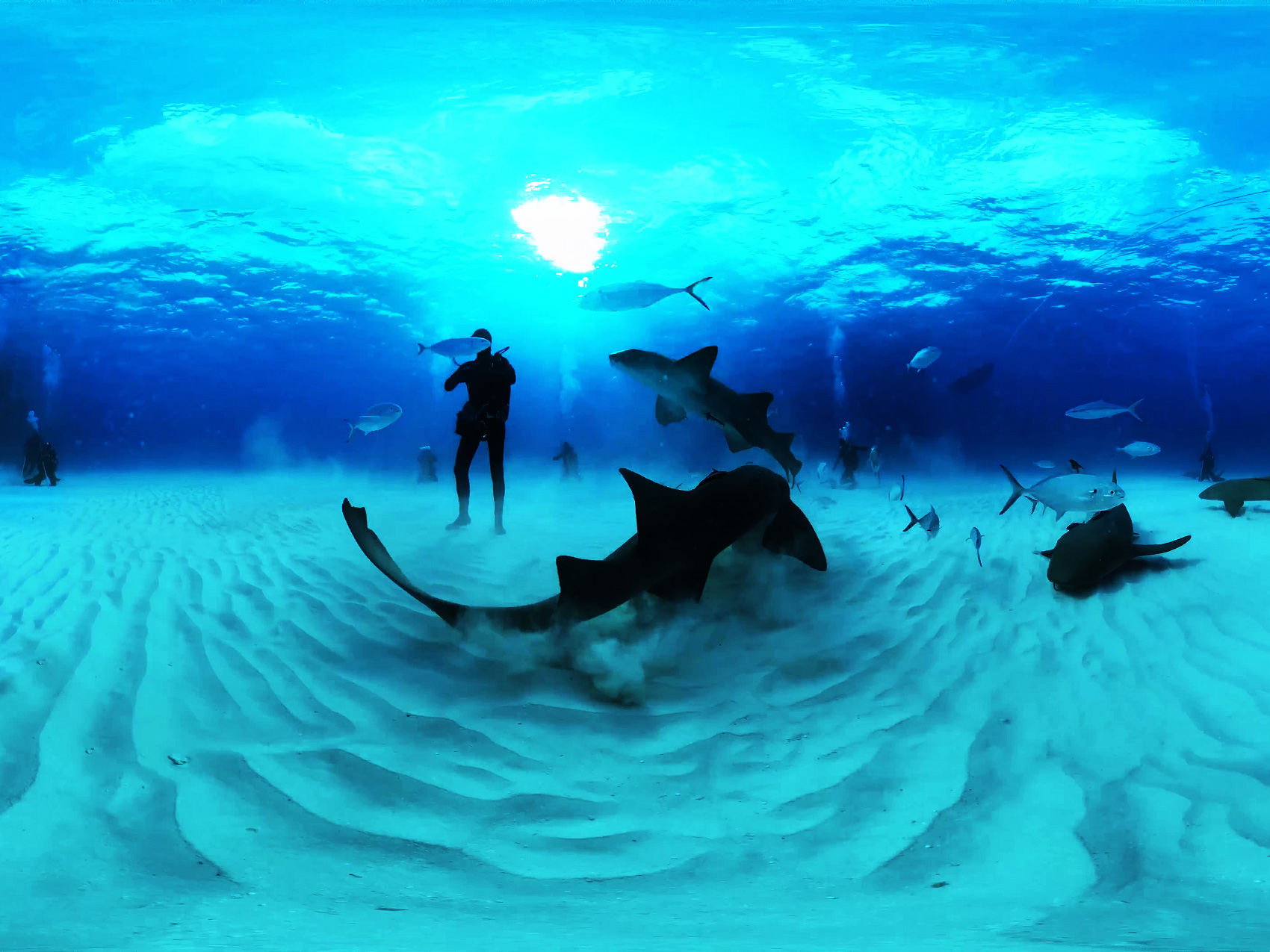 oculus-quest-diving_002