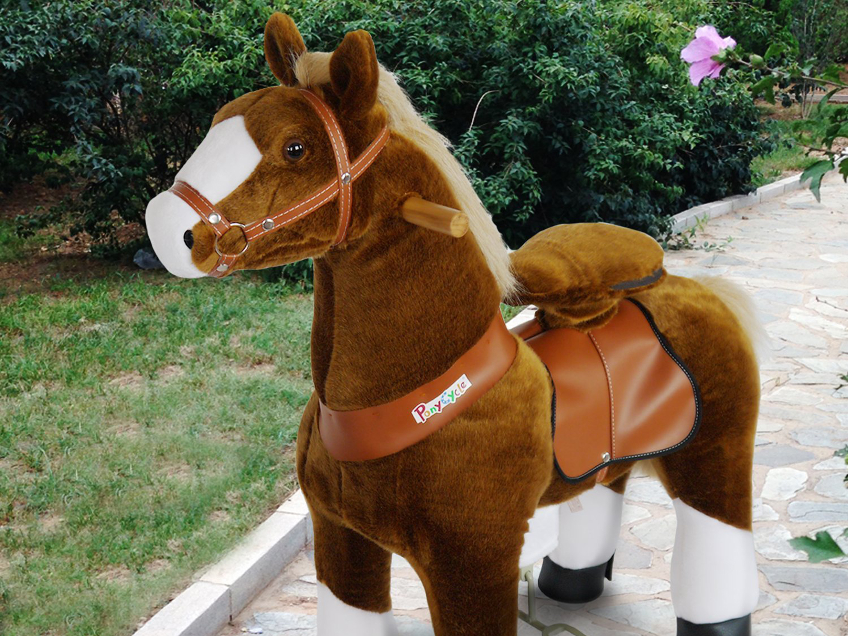 pony-reiten-www.eyeconcept.de-102