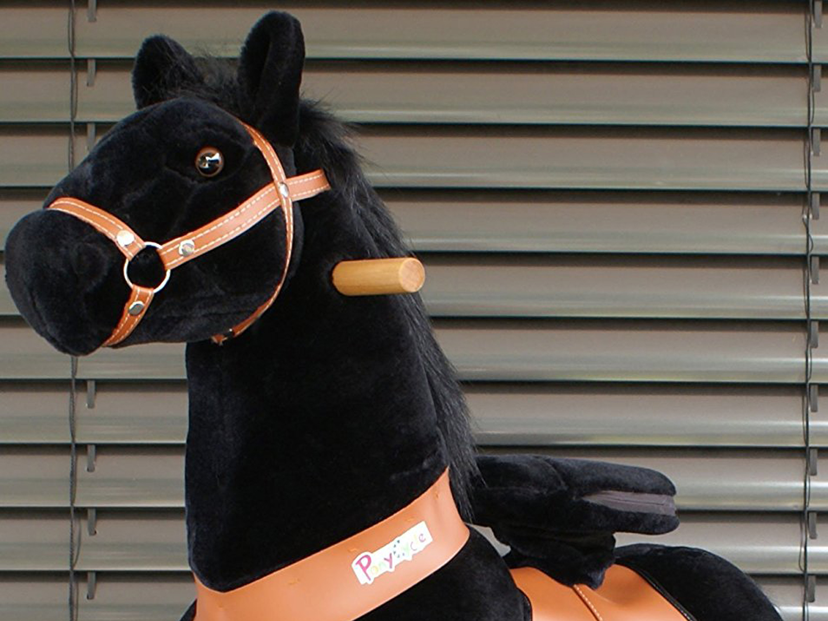 pony-reiten-www.eyeconcept.de-104