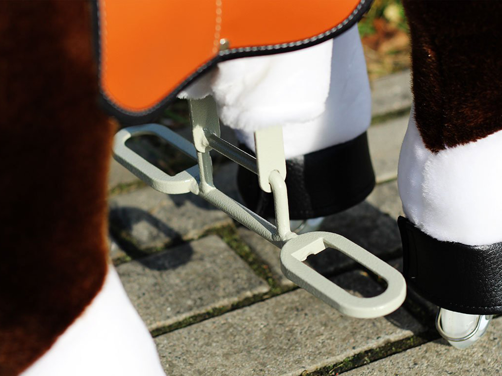 pony-reiten-www.eyeconcept.de-105