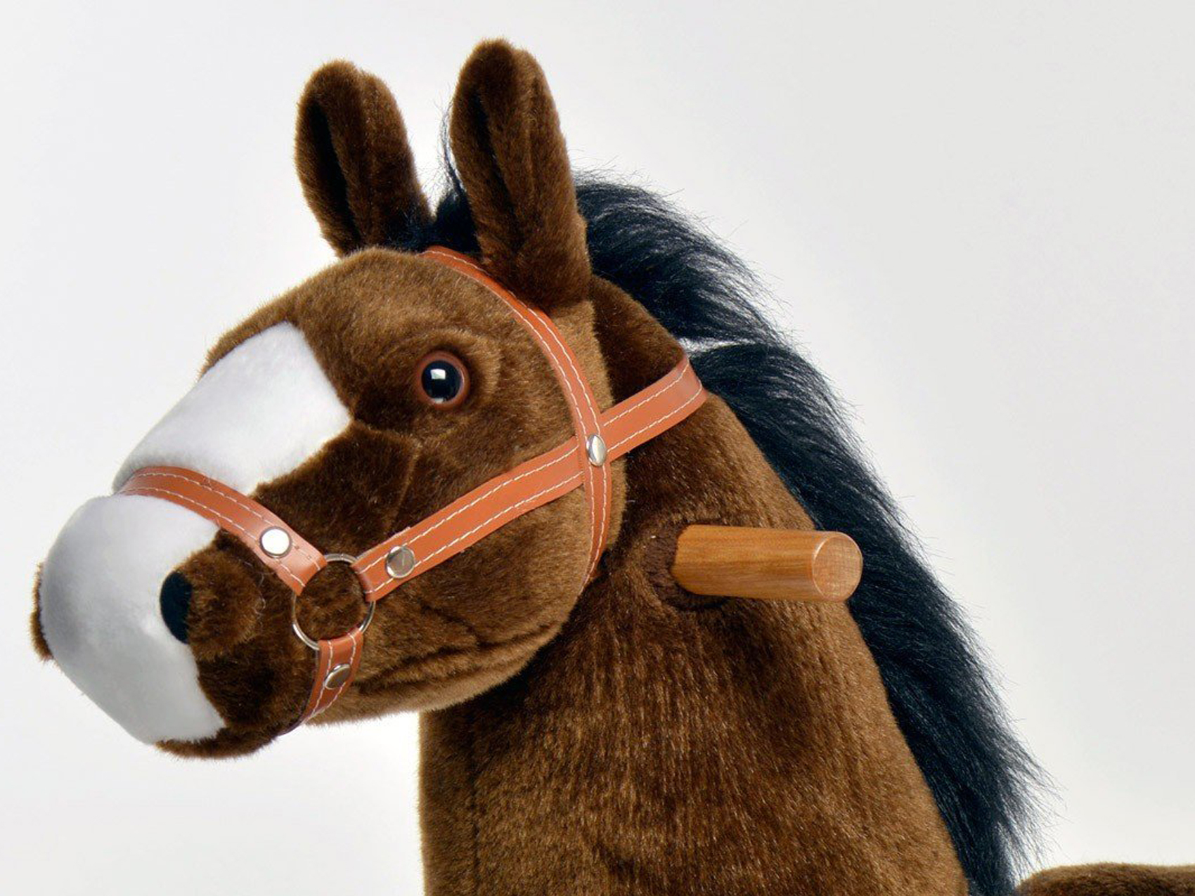 pony-reiten-www.eyeconcept.de-110