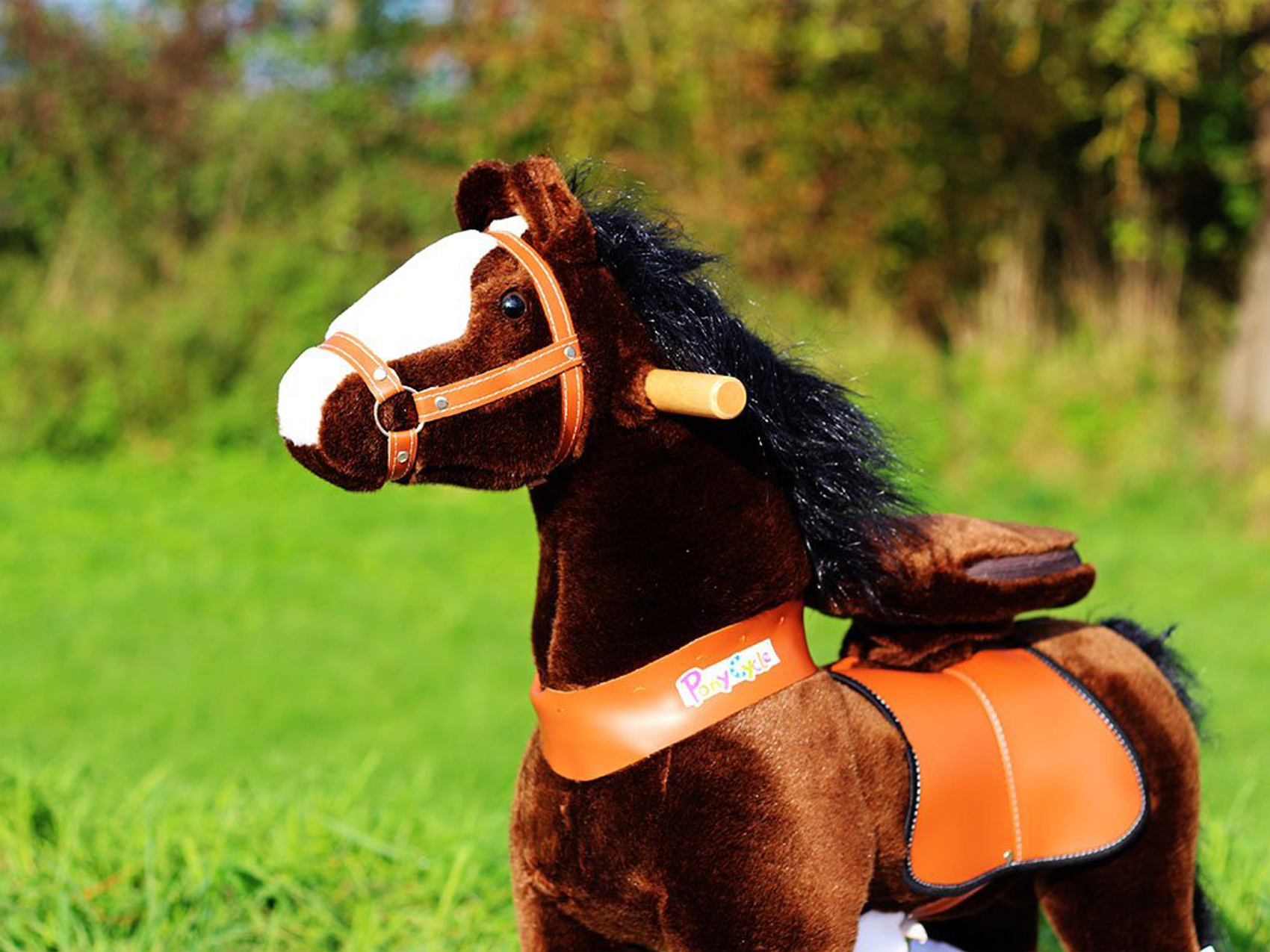 pony-reiten-www.eyeconcept.de-111