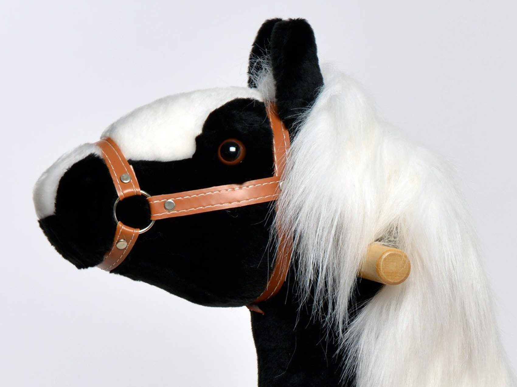 pony-reiten-www.eyeconcept.de-213