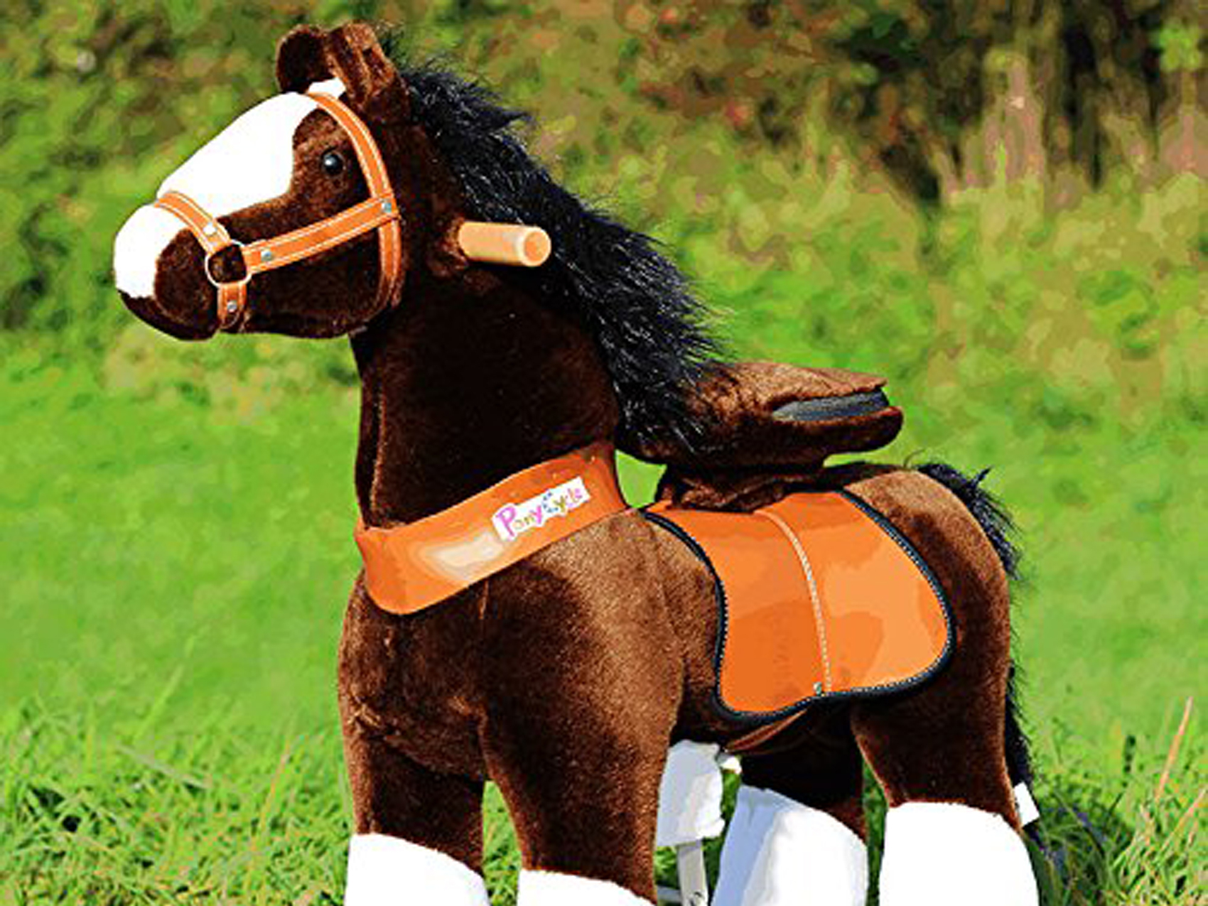 pony-reiten-www.eyeconcept.de-214