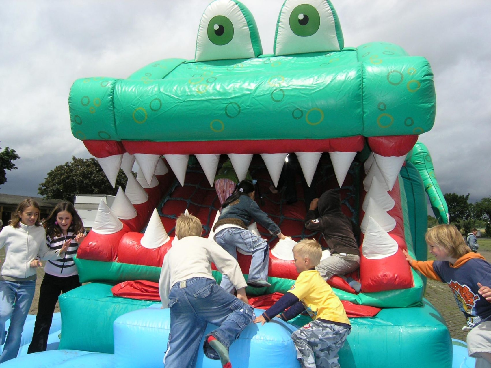 snappy-krokodil-www-eyeconcept-de-001