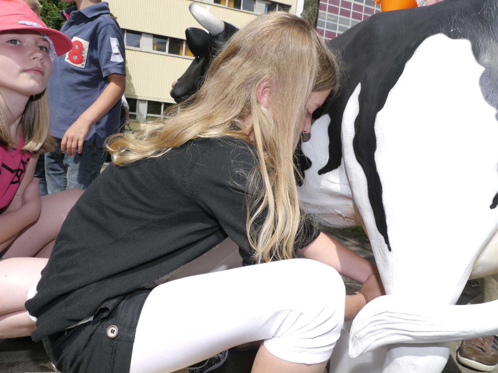 melkhuh-bonanza-www.eyeconcept.de-_011