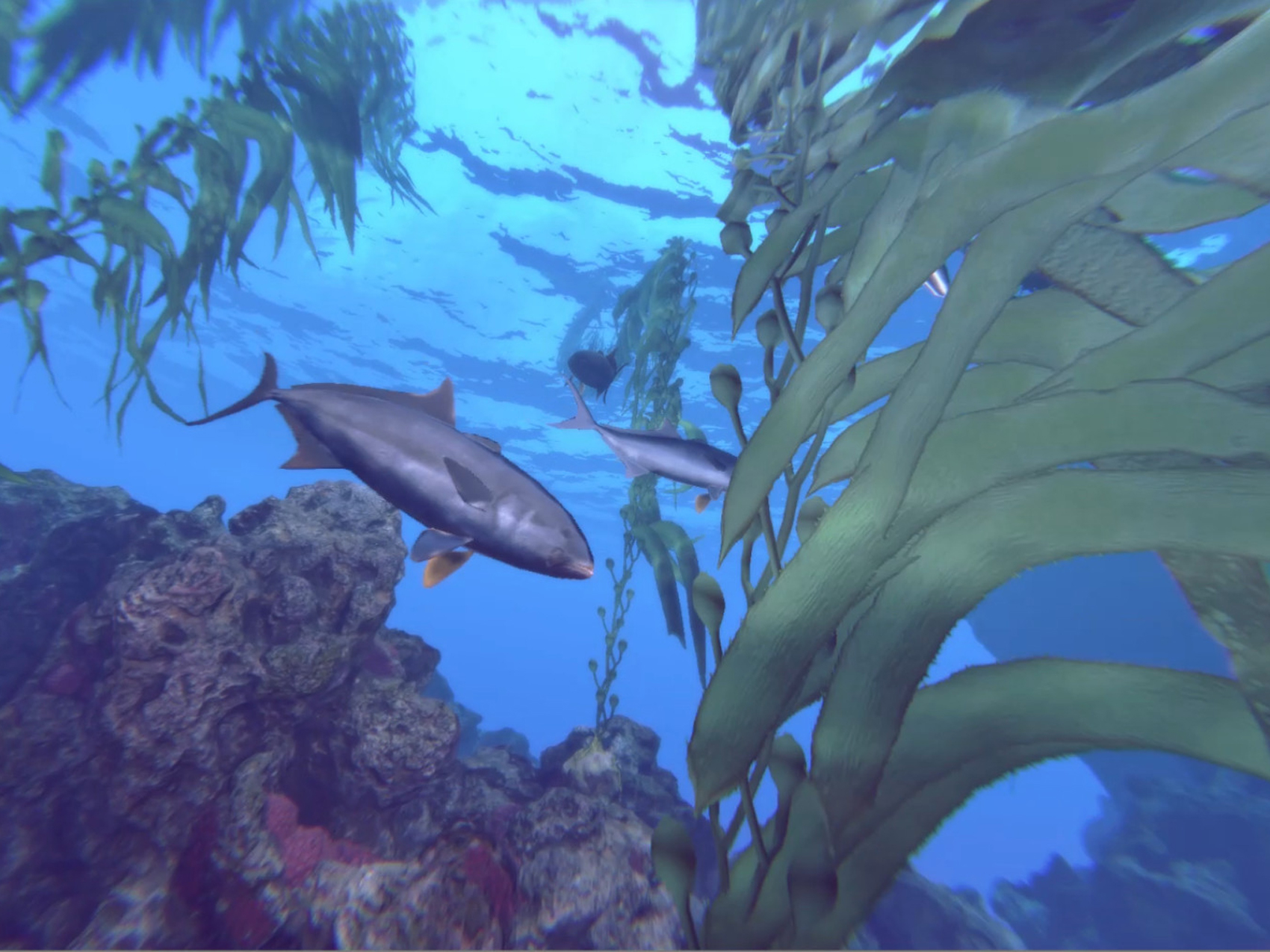 operation-deep-sea_006